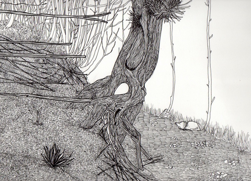 Tree (drawing with texture)